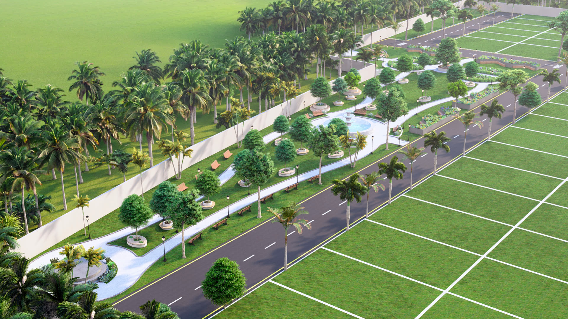 Avenue plantation