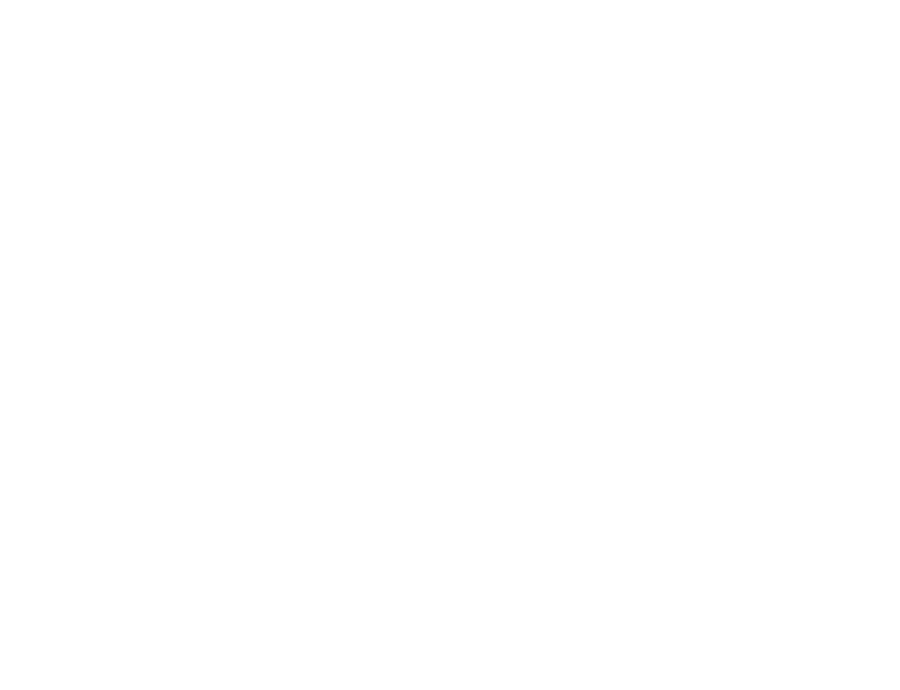 SVN Parckwud